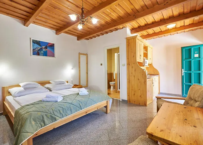 Silver Major Pensjonat 4*